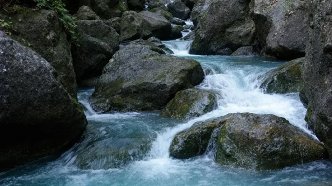 degats-des-eaux-le-g